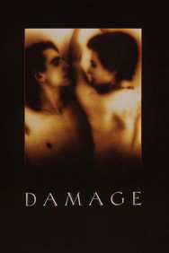 Damage (1992) Drama English Audio Movie DVD Box Set New