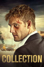 Collection (2021) English Dvd Movie Box Set