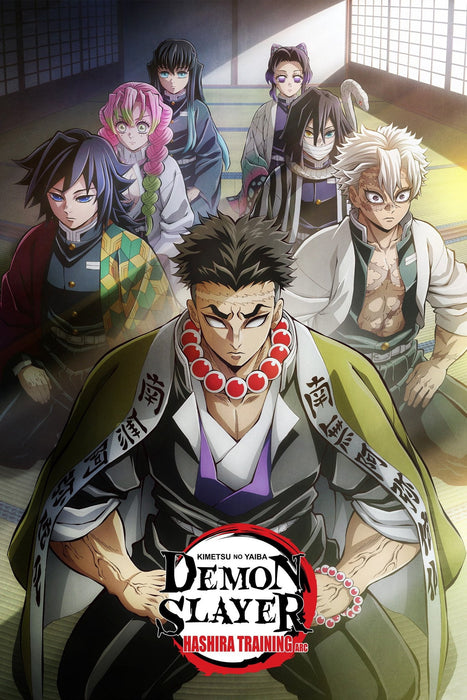 Demon Slayer: Kimetsu no Yaiba Season 5 DVD - Animation, Action & Adventure, and Sci-Fi & Fantasy