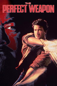 The Perfect Weapon (1991) Action English Audio Movie DVD Box Set New