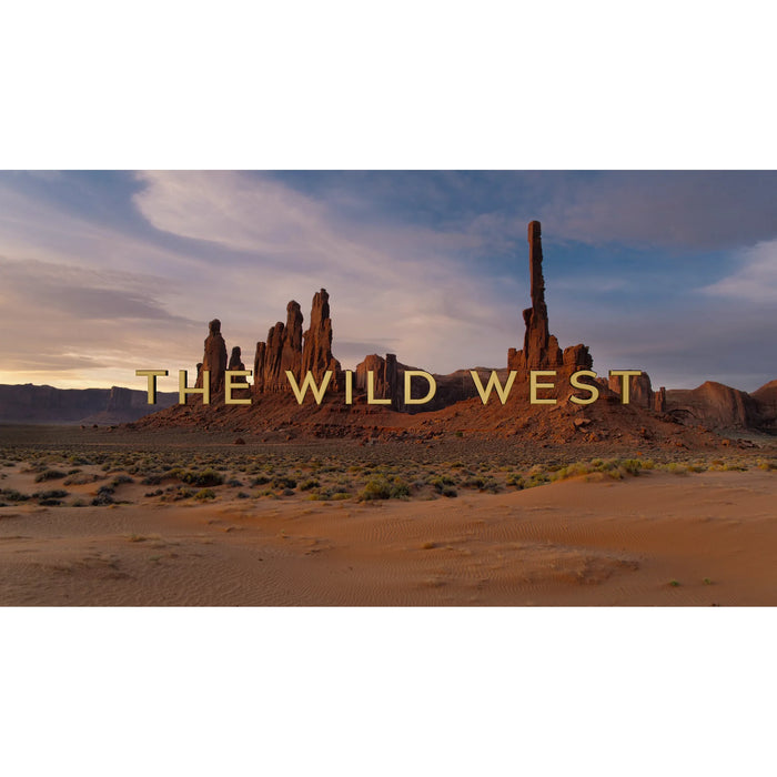 The Americas (2025) English D v D