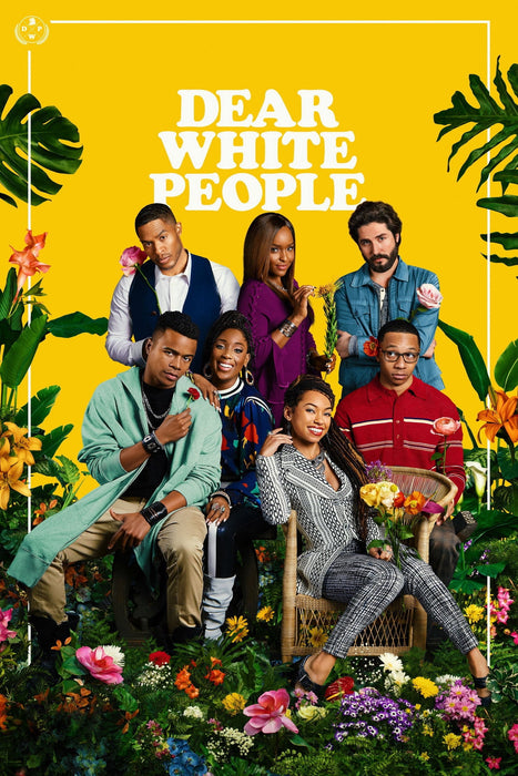 Dear White People Season 1 to 4 DVD - Comedy and Drama