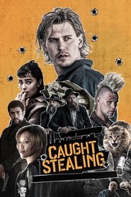 Caught Stealing (2025) English Dvd Movie Box Set