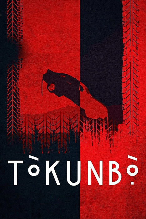 Tòkunbò (2024) DVD New Set [English Audio - Free Shipping]