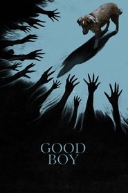 Good Boy (2025) English Dvd Movie Box Set