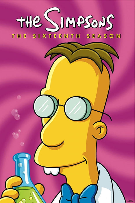 The Simpsons: The complete Season 16 DVD