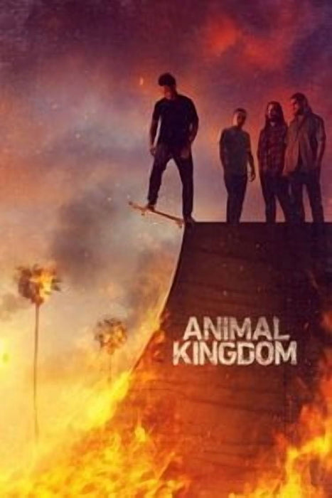 Animal Kingdom (2018) [Season-3] English Crime Series Box Set New DVD