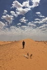 Sahara [2017] English Dvd Movie Box Set