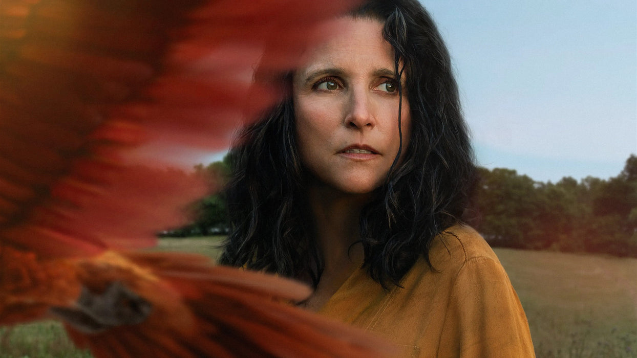 Tuesday (2024) DVD New Set [Free Shipping]