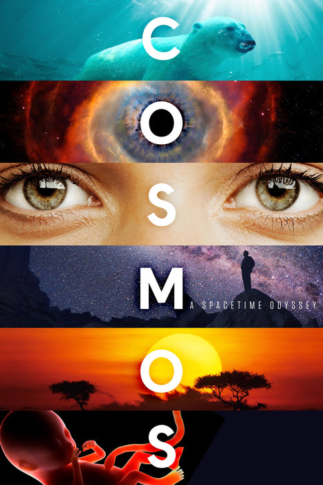 Cosmos: A Spacetime Odyssey Season 1 DVD