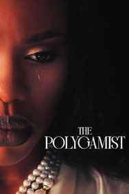 The Polygamist (Season 1) English TV series DVD