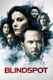 Blindspot (2015) [Season-1] English Crime Series Box Set New DVD