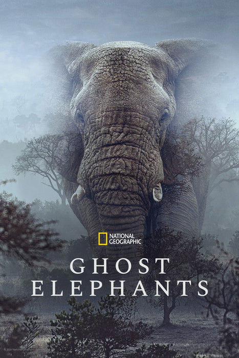 Ghost Elephants (2026) English Dvd Movie Box Set