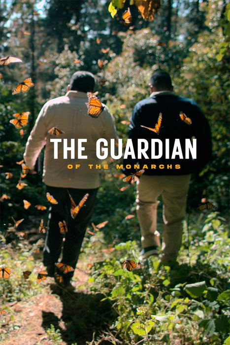 The Guardian of the Monarchs (2024) DVD New Set [English Audio - Free Shipping]