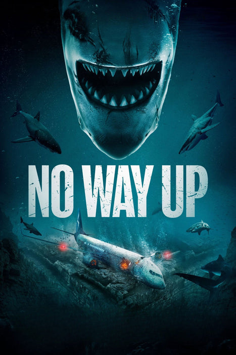 No Way Up (2024) DVD New Set [English Audio - Free Shipping]
