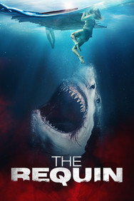 The Requin (2022) English Thriller Movie DVD Box Set New