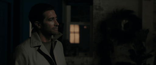 In the Grey - English Movie DVD | 2026 -
