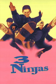 3 Ninjas (1992) Action English Audio Movie DVD Box Set New