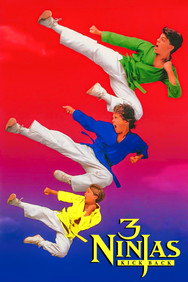 3 Ninjas Kick Back (1994) Action English Audio Movie DVD Box Set New
