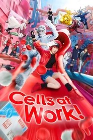 Cells at Work! (2024) English Dvd Movie Box Set