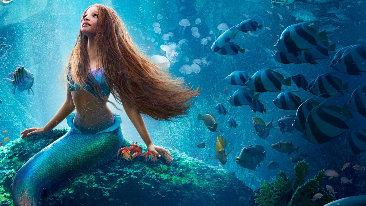The Little Mermaid (2024) DVD New Set [English Audio - Free Shipping]