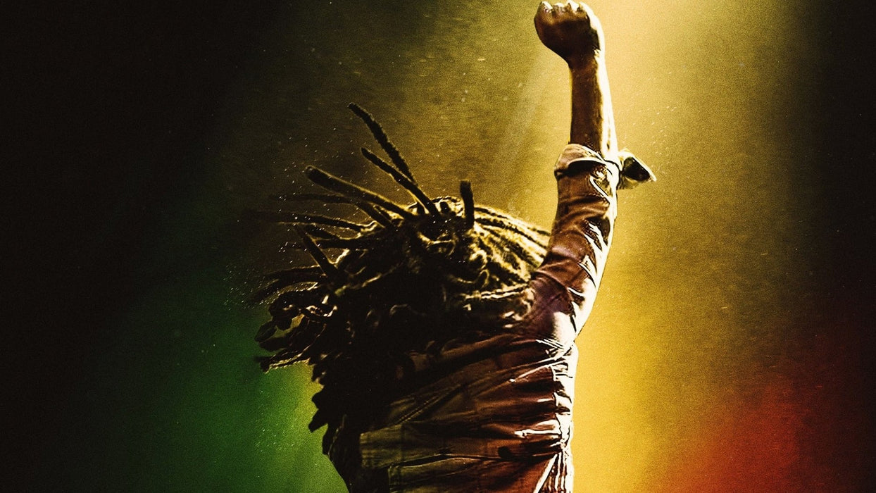 Bob Marley: One Love (2024) DVD New Set [English Audio - Free Shipping]