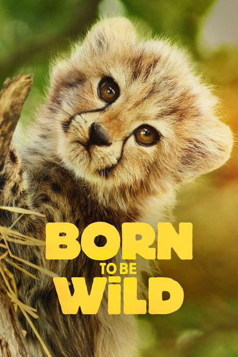 Born to Be Wild (Season 1) English TV series DVD
