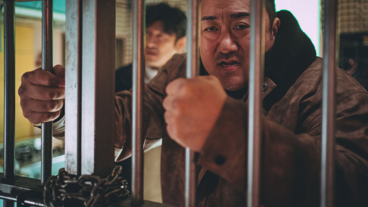 The Roundup: Punishment (2024) DVD New Set [English Audio - Free Shipping]