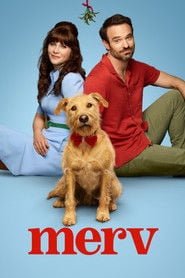 Merv (2025) English Dvd Movie Box Set - Movie, TV Show