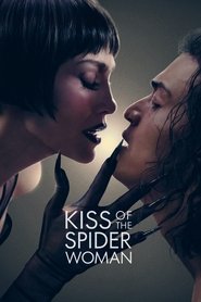 Kiss of the Spider Woman (2025) English Dvd Movie Box Set