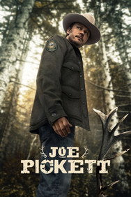 Joe Pickett Season 1-2 Crime English Complete Series Box Set New DVD