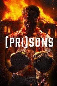 (Pri)Sons (2024) English Dvd Movie Box Set - Movie, TV Show