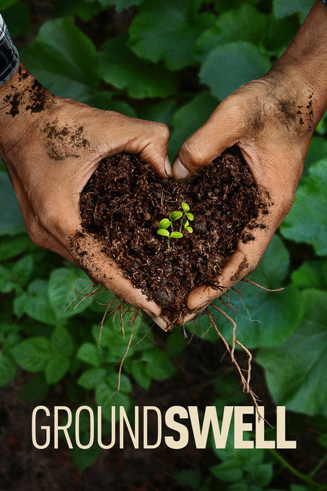 Groundswell (2026) English Dvd Movie Box Set