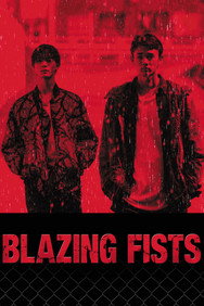 Blazing Fists (2025) Action English Audio New Movie DVD Box Set