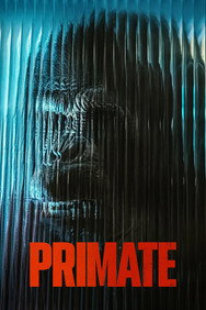 Primate (2025) Horror English Audio New Movie DVD Box Set