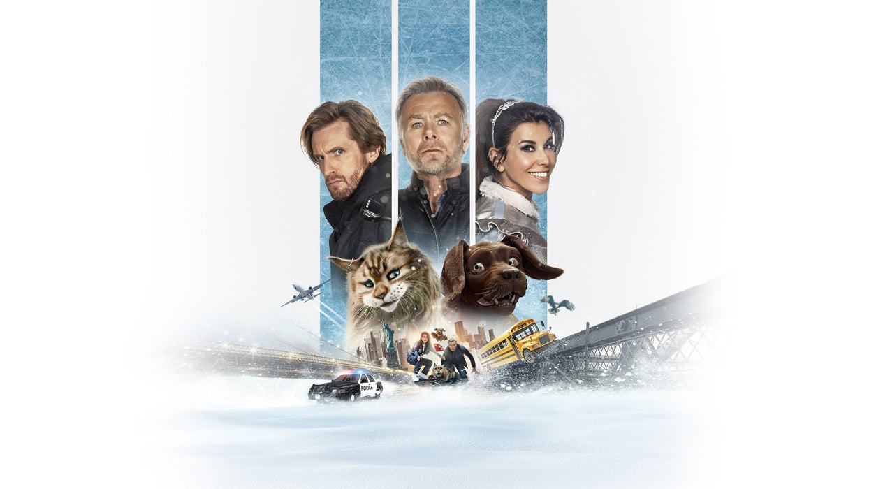 Cat and Dog (2024) DVD New Set [English Audio - Free Shipping]
