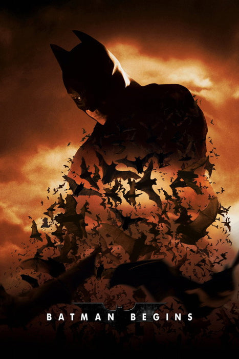 Batman Begins (2005) English DVD Movie Box Set