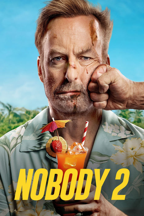 Nobody 2 (2025) DVD Set New Brand