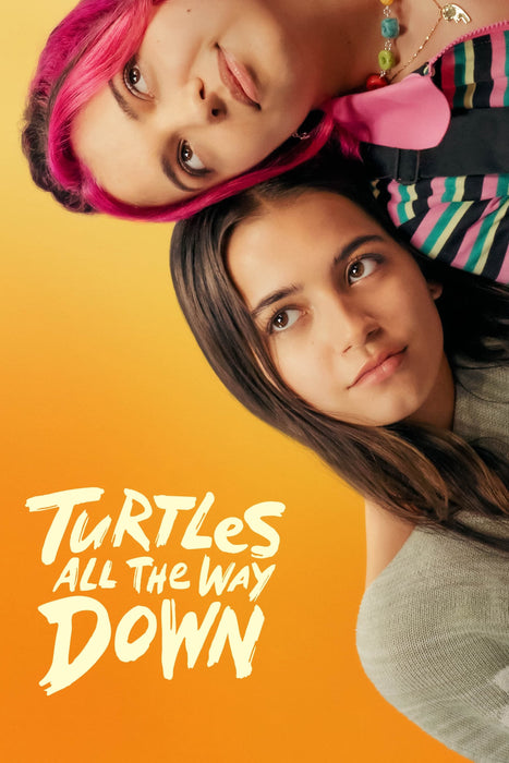 Turtles All the Way Down (2024) DVD New Set [English Audio - Free Shipping]