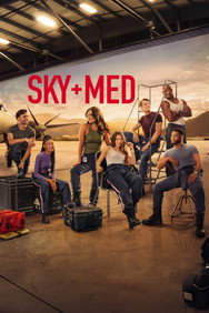 Skymed (Season 1-4) English TV series DVD