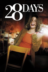 28 Days (2000) Comedy English Audio Movie DVD Box Set New