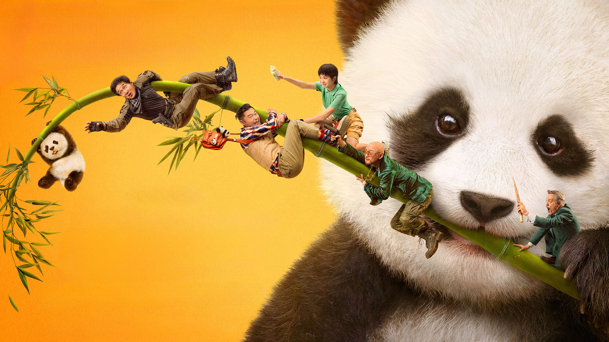 Panda Plan (2024) DVD New Set [Free Shipping]
