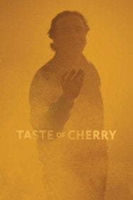 Taste of Cherry (1997) Drama English Audio Movie DVD Box Set New