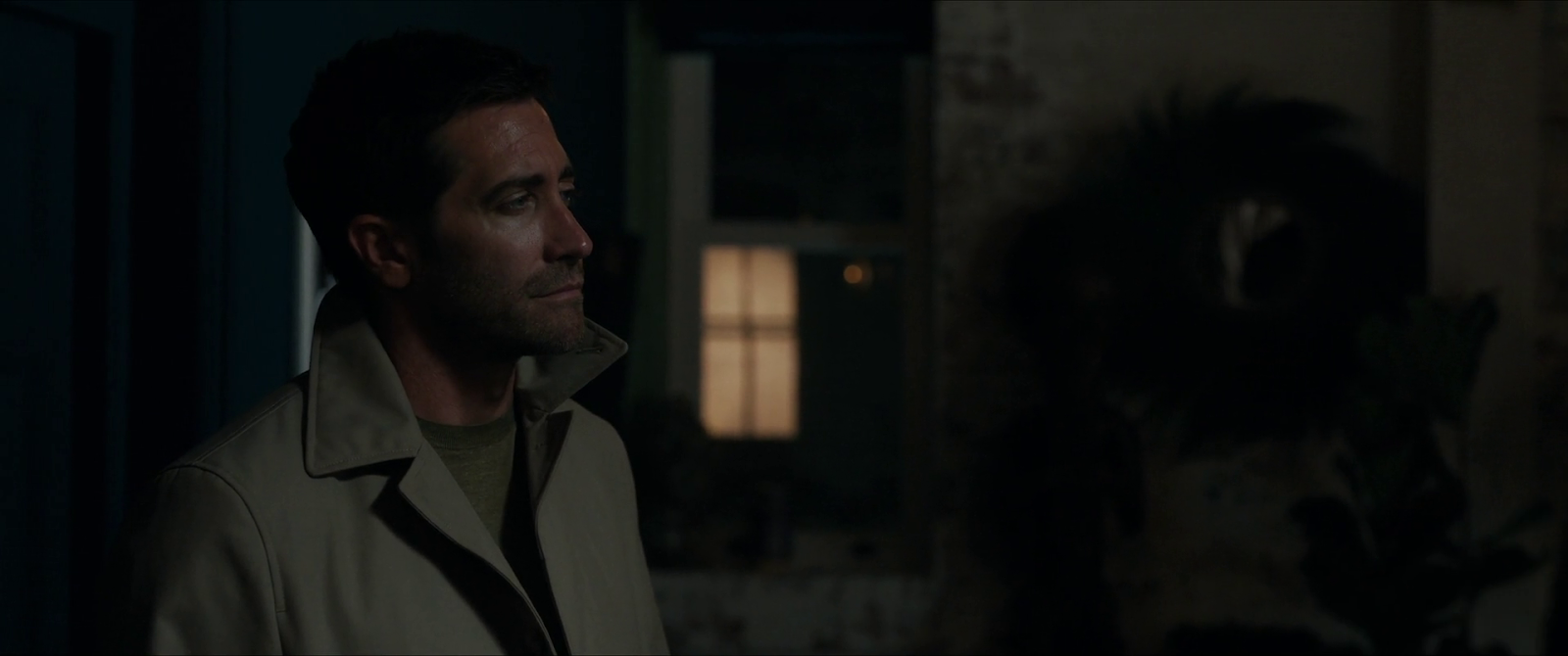 In the Grey - English Movie DVD | 2026