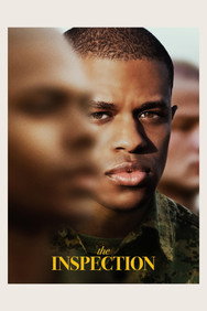 The Inspection (2022) English Audio New Movie DVD Box Set