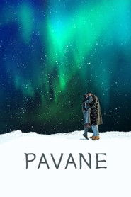 Pavane  (2026) Romance,Drama English DVD Movie Box Set