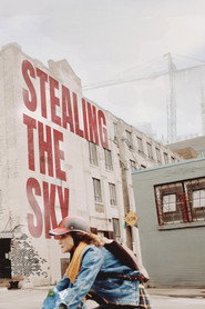 Stealing the Sky (2025) English Dvd Movie Box Set