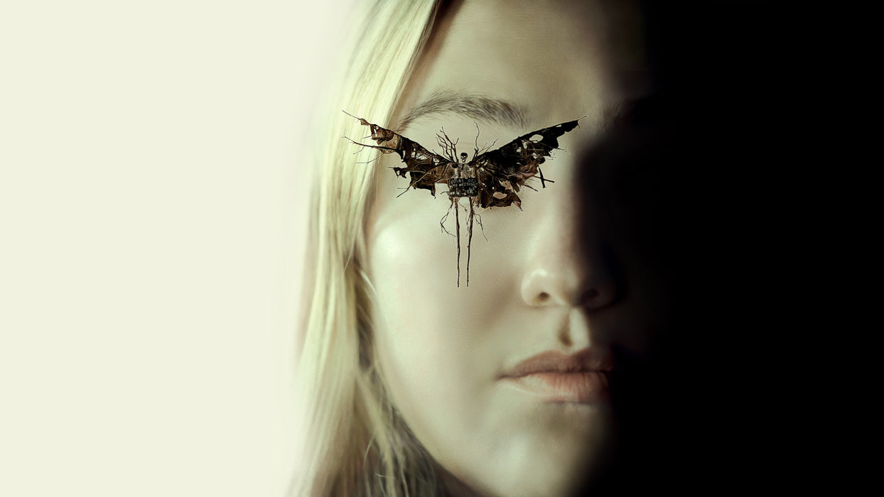The Watchers (2024) DVD New Set [English Audio - Free Shipping]