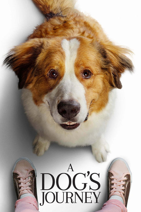 A Dog's Journey (2019) English Dvd Movie Box Set