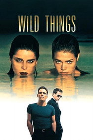 Wild Things (1998) Mystery English Audio Movie DVD Box Set New